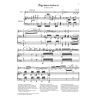 Sarasate y Navascuez, Martín Melitón Pablo de - Gypsy Airs op. 20 