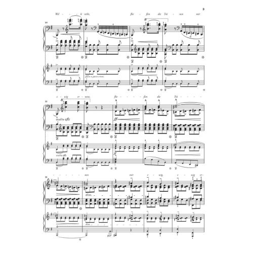 Liszt & Schubert - Resting Place 