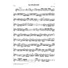 Bach, J.S - Concerto for Violin and Orchestra E major BWV 1042 