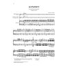 Weber, Carl Maria von - Clarinet Concerto No. 1 f minor op. 73/1 