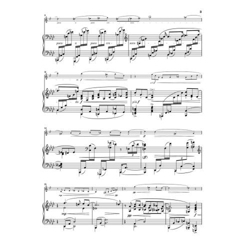 Reger, Max - Sonatas and Pieces 