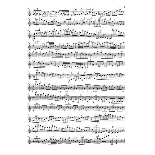 Rode, Jacques Pierre Joseph - 24 Caprices 