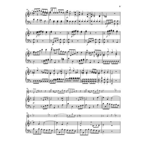 Bach, Carl Philipp Emanuel - Flute Concerto H.484.1 
