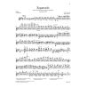 Sarasate y Navascuez, Martín Melitón Pablo de - Zapateado 