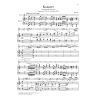 Dvo?ák, Antonín - Violin Concerto a minor op. 53 