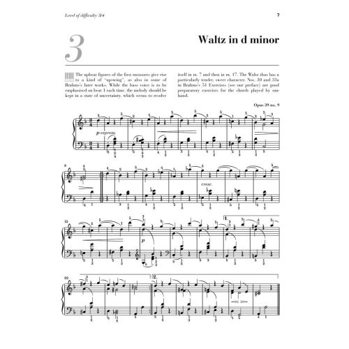 At The Piano - Brahms 