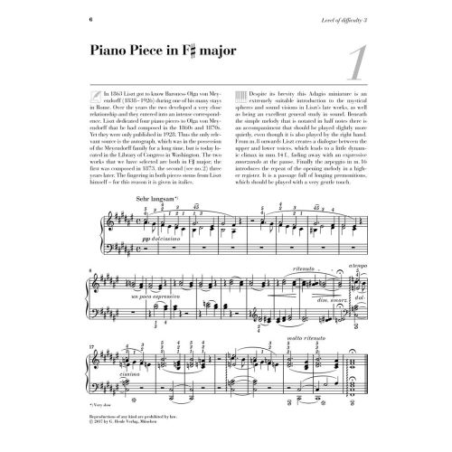 At The Piano - Liszt 
