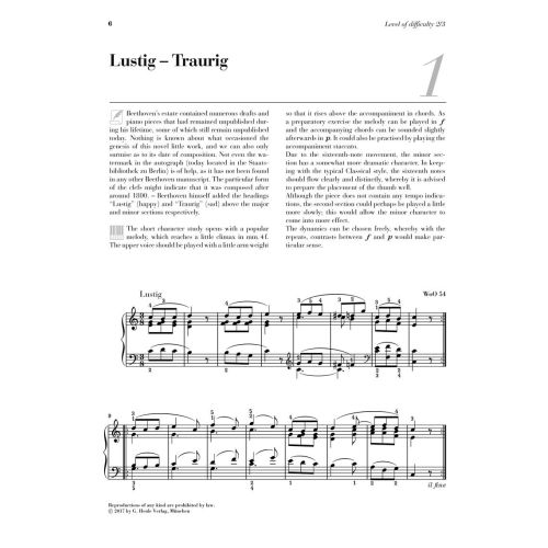 At The Piano - Beethoven 