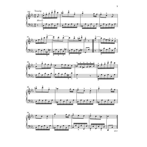 At The Piano - Beethoven 