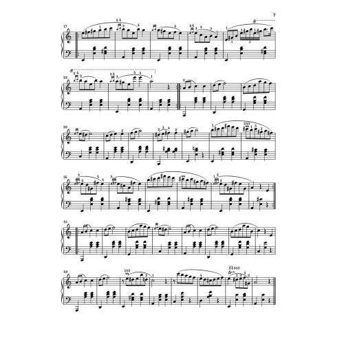 At The Piano - Chopin 
