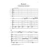 Strauss, Richard - Oboe Concerto D major 