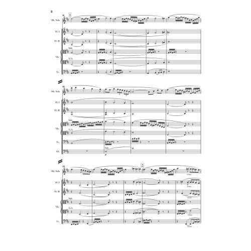 Strauss, Richard - Oboe Concerto D major 