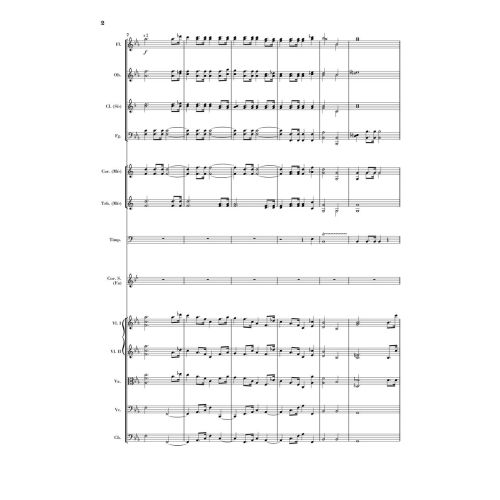 Strauss, Richard - Horn Concerto No.1 in E flat major op.11 op. 11 