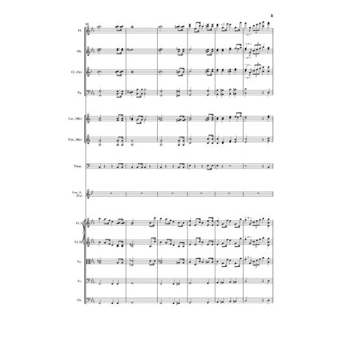 Strauss, Richard - Horn Concerto No.1 in E flat major op.11 op. 11 