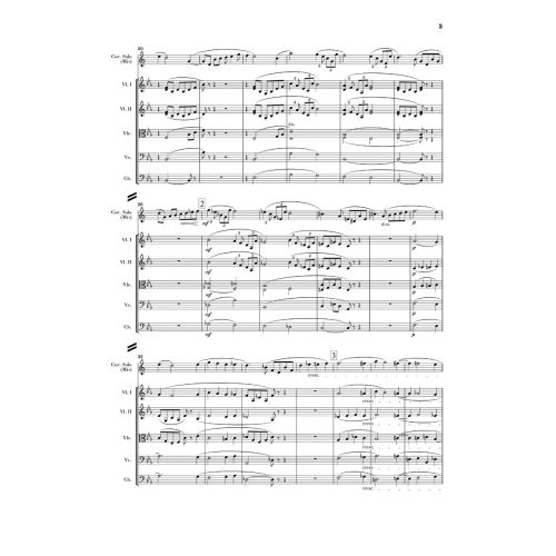 Strauss, Richard - Horn Concerto no. 2 in E flat major 
