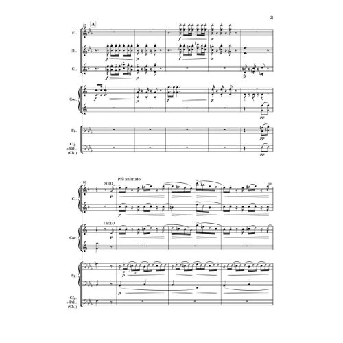 Strauss, Richard - Wind Serenade in E flat major op.7 op. 7 