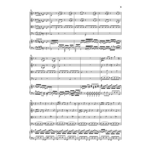 Bach, J.S - Harpsichord Concerto no. 1 d minor BWV 1052 