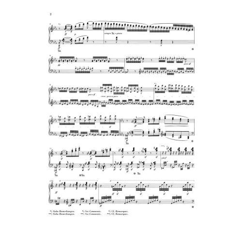 Beethoven, Ludwig van - Chorus Fantasy c minor and other works 