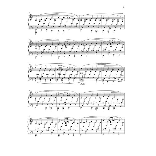 Schumann, Robert - Novellettes op. 21 