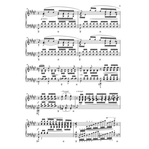 Schumann / Liszt - Spring night from Song Cycle op. 39
