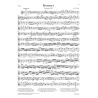 Viotti, Giovanni Battista - Violin Concerto no. 22 a minor 