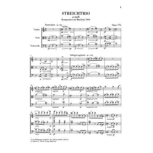 Reger, Max - String Trios a minor and d minor op. 77b u. 141b 