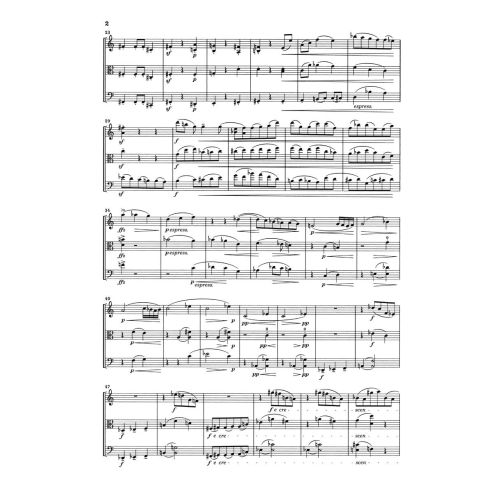 Reger, Max - String Trios a minor and d minor op. 77b u. 141b 