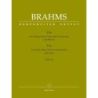 Brahms, Johannes - Trio Opus 40