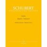 Schubert, Franz - Lieder, Volume Eight (Medium)