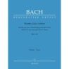 Bach J.S. - Komm, Jesu, komm. Motet No.5 (BWV229) (Urtext).