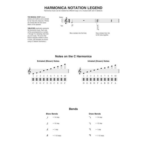  Sample Page 4