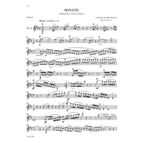  Sample Page 3