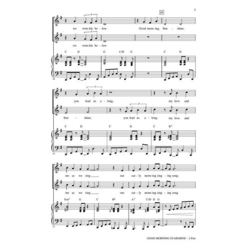  Sample Page 2