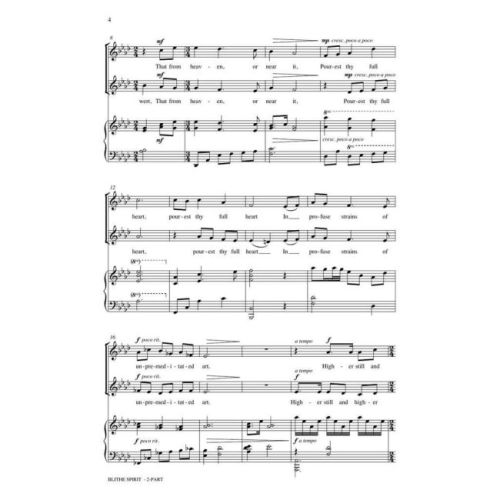  Sample Page 3