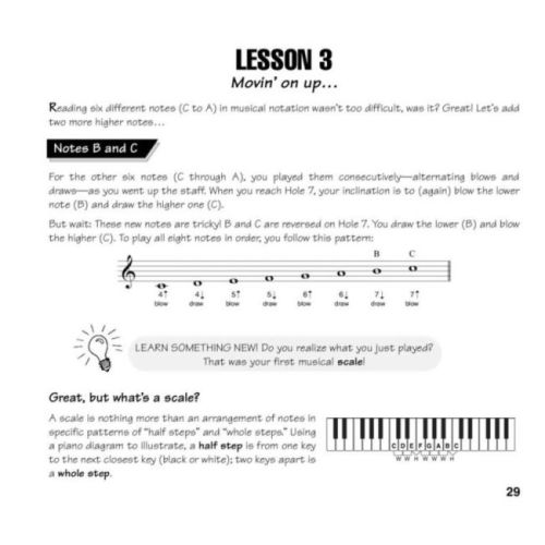  Sample Page 8