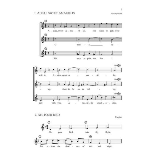  Sample Page 4