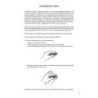  Sample Page 2