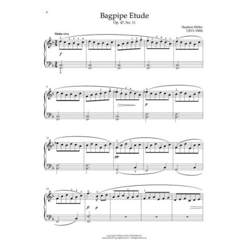  Sample Page 5