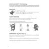  Sample Page 2