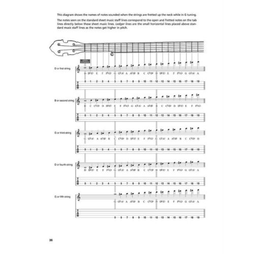  Sample Page 3