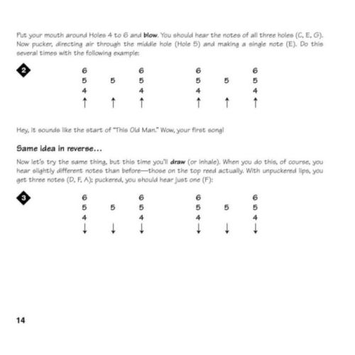  Sample Page 7