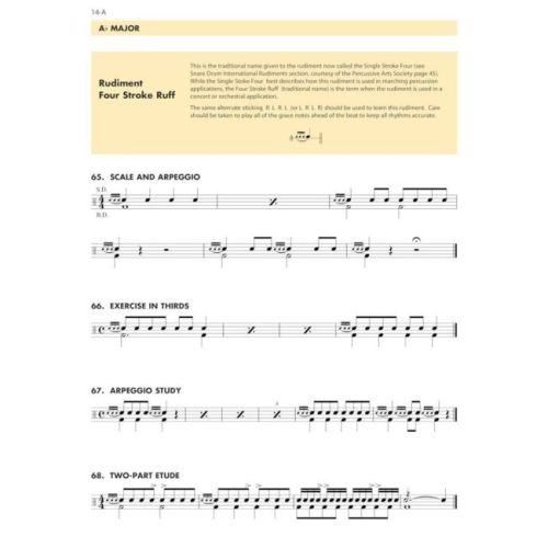  Sample Page 3