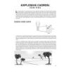  Sample Page 2