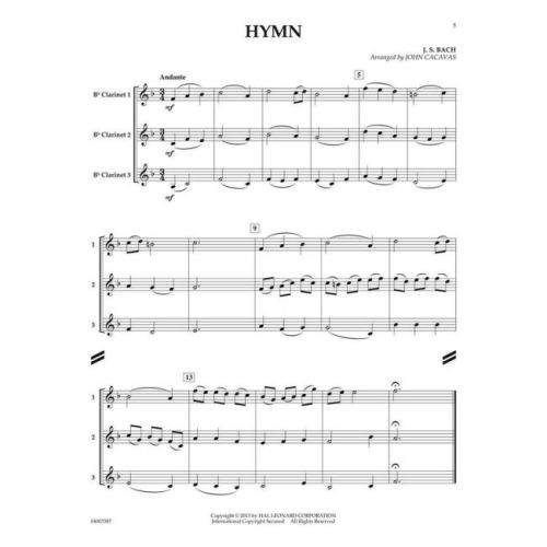  Sample Page 3