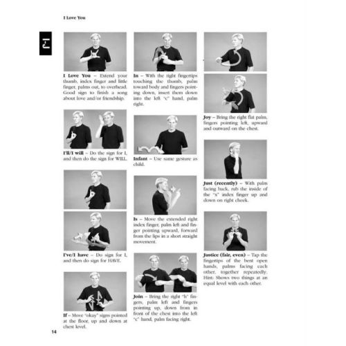  Sample Page 3