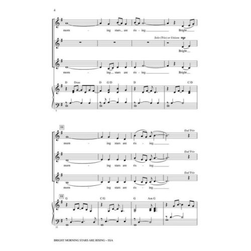  Sample Page 2