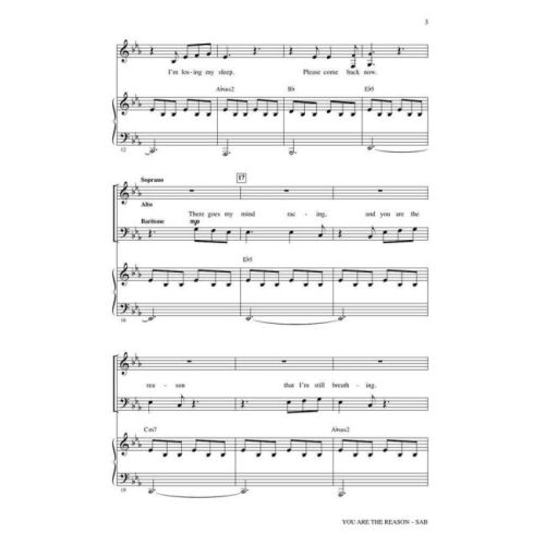  Sample Page 2