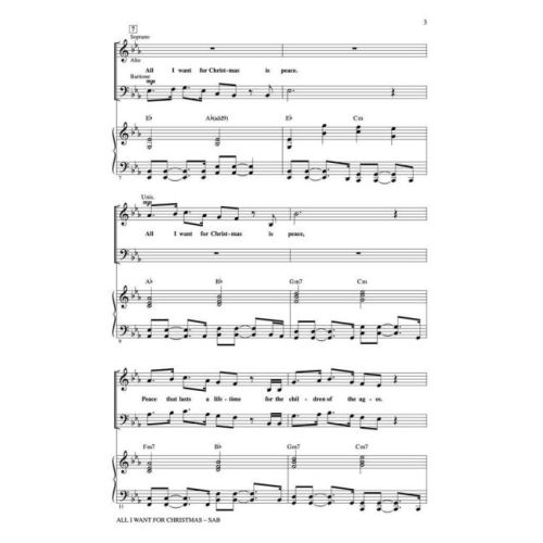  Sample Page 2