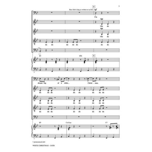  Sample Page 2