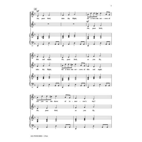  Sample Page 2